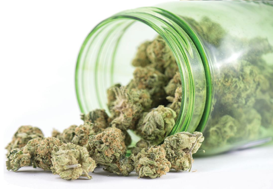 Cannabis Flower Cannabinoid Potency Testing | Smarti Plantz, LLC